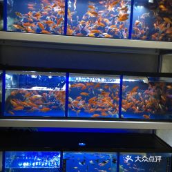 电话,地址,价格,营业时间 罗山县宠物