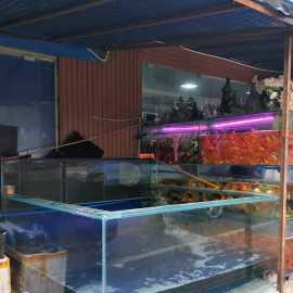 图 大型鱼缸专业定制请认准濠丽水族 重庆宠物食品 用品