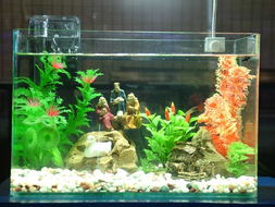 海韵牌无影小缸