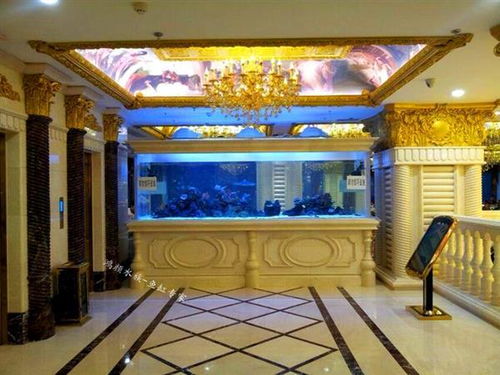 报价 供应商 图片 崇安区鸿颜水族器材经营部