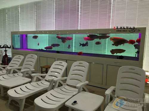 报价 供应商 图片 崇安区鸿颜水族器材经营部