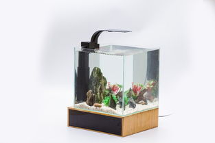 ds24 30f开放式小型生态鱼缸
