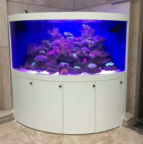 诸暨观赏鱼缸报价