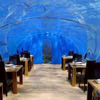 无锡鱼缸定做,无锡鱼缸,水族箱江苏 无锡 崇安区崇安区鸿颜水族器材经营部产品供应第7页