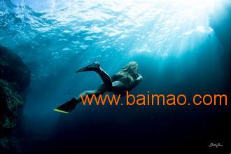 厦门潜水 厦门潜水培训 厦门潜水俱乐部 厦门浮潜,厦门潜水 厦门潜水培训 厦门潜水俱乐部 厦门浮潜生产厂家,厦门潜水 厦门潜水培训 厦门潜水俱乐部 厦门浮潜价格