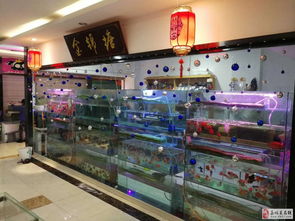 水族馆转让或出售鱼缸及设备