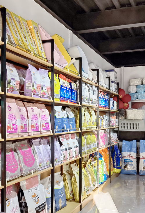 天津网红打卡新地标 中北镇曹庄花卉市场26日开始正式营业