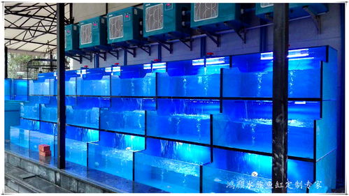 报价 供应商 图片 崇安区鸿颜水族器材经营部