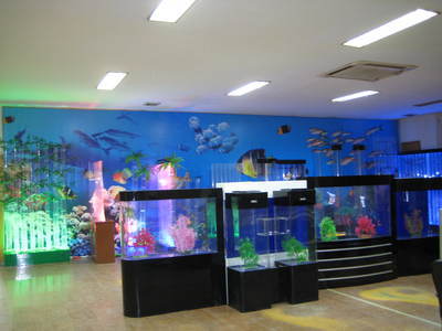 【海博压克力缸/水珠屏风/高档龙缸/玄关式1.2米】价格,厂家,图片,其他水族器材,台州市路桥碧海水族工艺品厂-