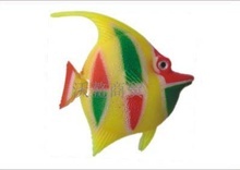 上海热带鱼_水族器材_上海热带鱼批发_上海热带鱼供应_阿里巴巴