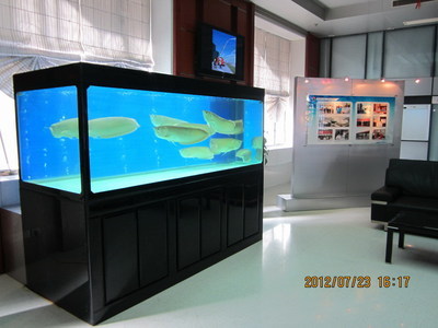 【专业定做鱼缸】价格,厂家,图片,其他水族器材,上海酷力仕水族科技-