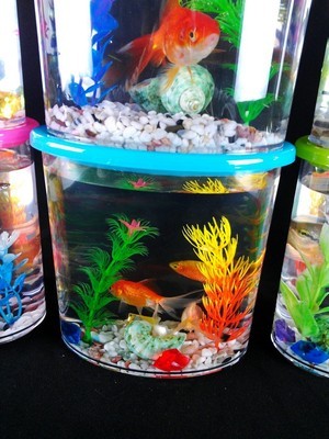 【迷你小鱼缸 水族鱼缸糖果小鱼缸小鱼缸批发塑料鱼缸】价格,厂家,图片,其他水族器材,深圳科农园艺-