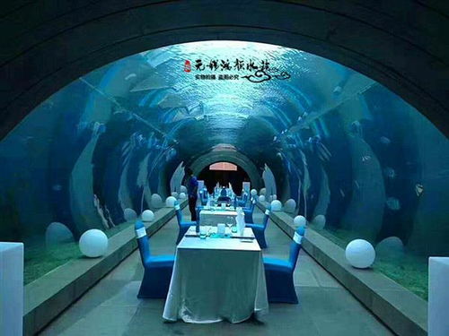 报价 供应商 图片 崇安区鸿颜水族器材经营部