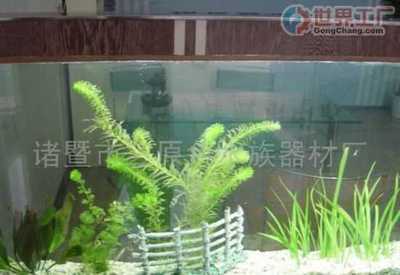 杭州思远壁挂水族_世界工厂网全球企业库