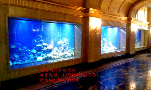 报价 供应商 图片 崇安区鸿颜水族器材经营部