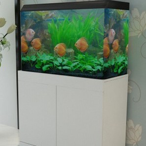 亮点水族水族器材 亮点水族水族箱 莱欧玻璃鱼缸