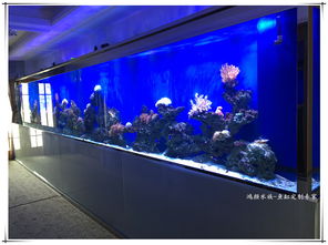 报价 供应商 图片 崇安区鸿颜水族器材经营部