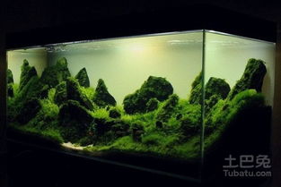 水草缸品牌与器材全解析