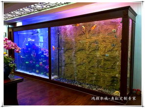 崇安区鸿颜水族器材经营部：专业水族器材供应商报价及图片展示