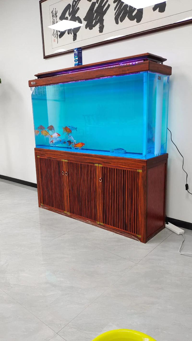 1.5米下滤系统鱼缸 新缸安装后的完美展现与养鱼心得