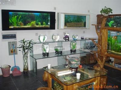 乐彩生态家居馆 生态水族壁画与低碳家具的创新融合