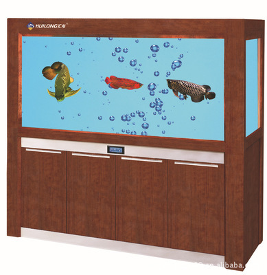 上海汇龙水族科技 生态水族箱批发加盟与专业水族器材供应商